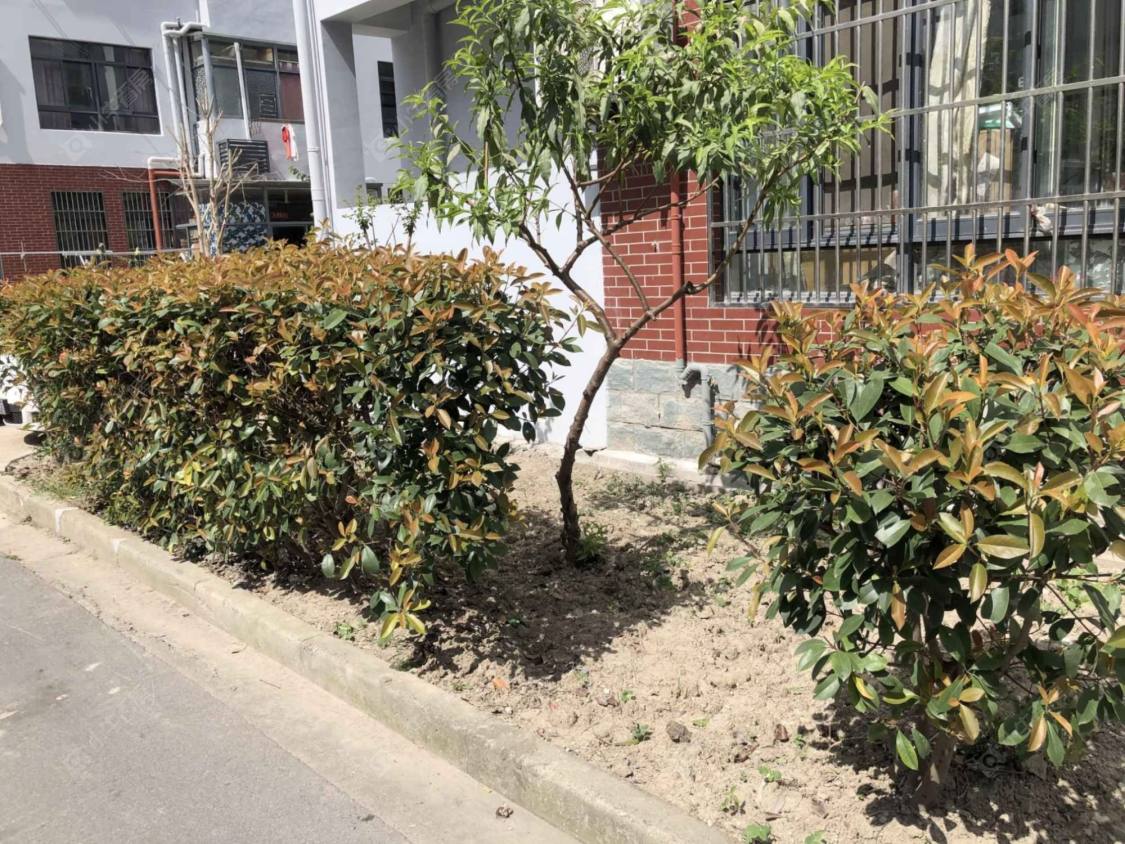 上海二联家园西区小区_小牛看房