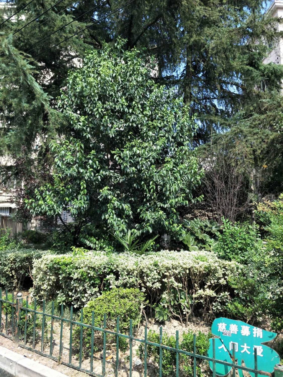 上海峨山路小区_峨山路小区null