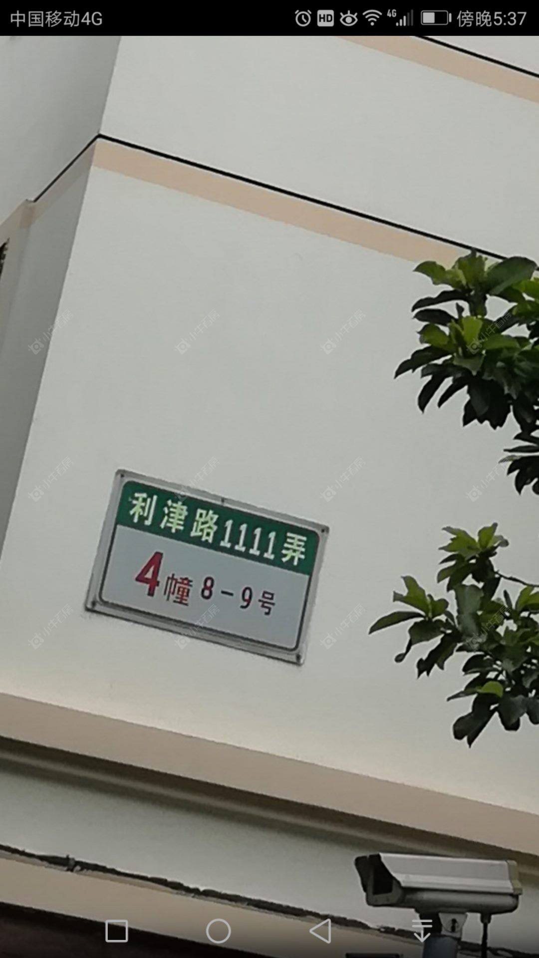 上海东陆新村五街坊小区_东陆新村五街坊小区null