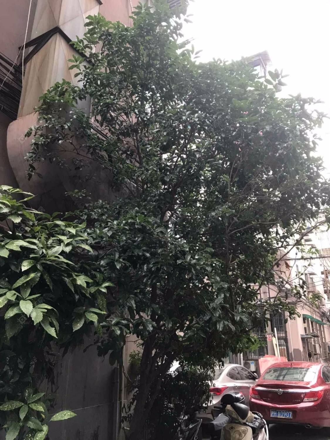 上海明精大楼小区_小牛看房