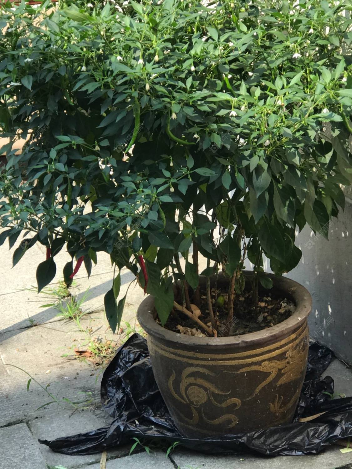 上海康平路新里小区_康平路新里小区null