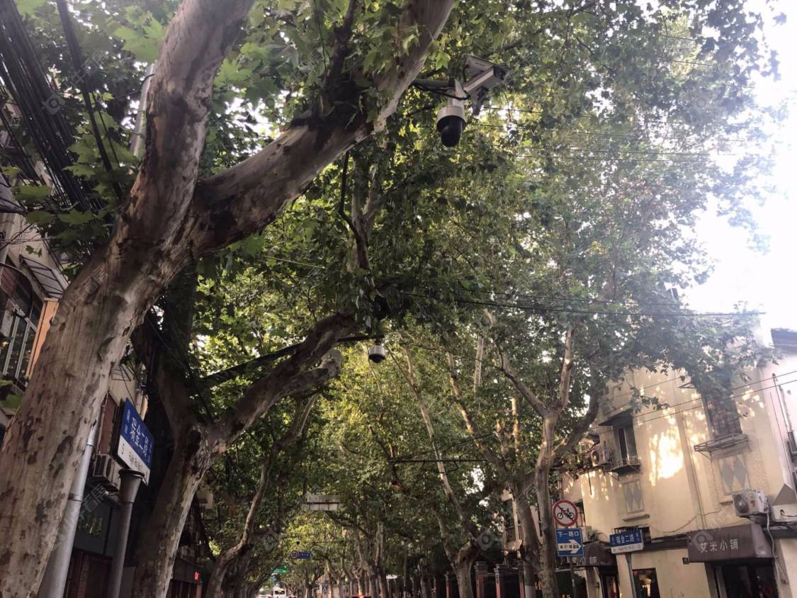 上海瑞金二路70弄小区_小牛看房