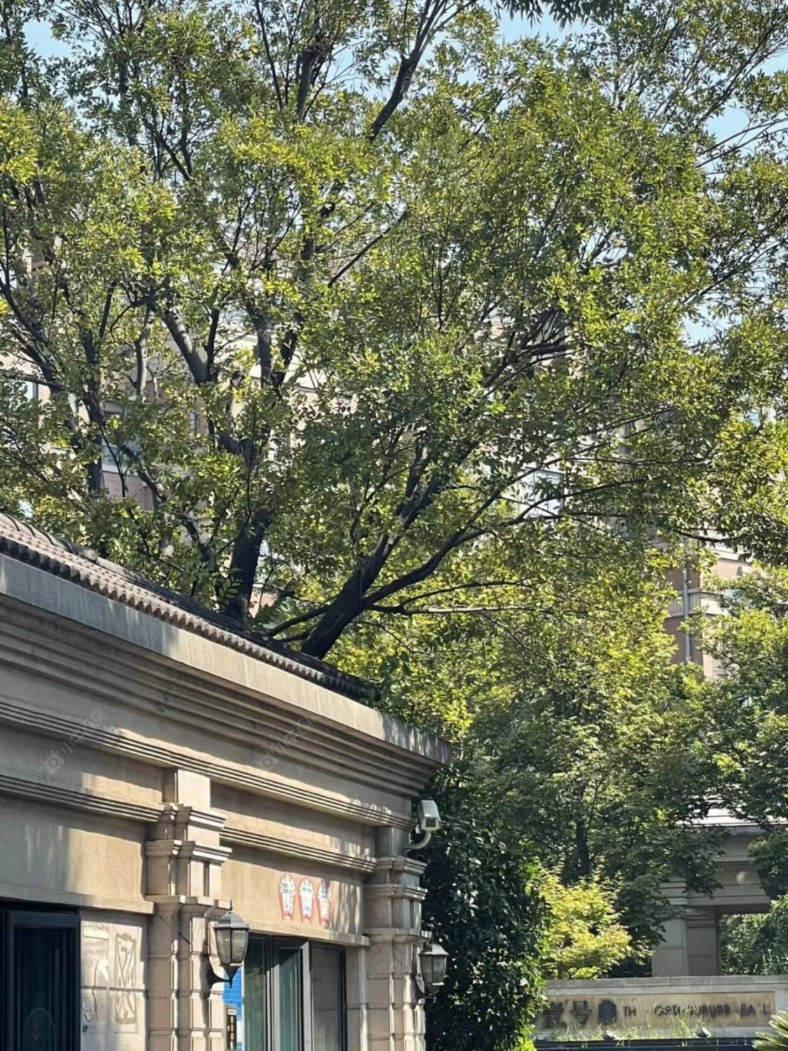 上海海上御景苑一期别墅区小区_海上御景苑一期别墅区小区null