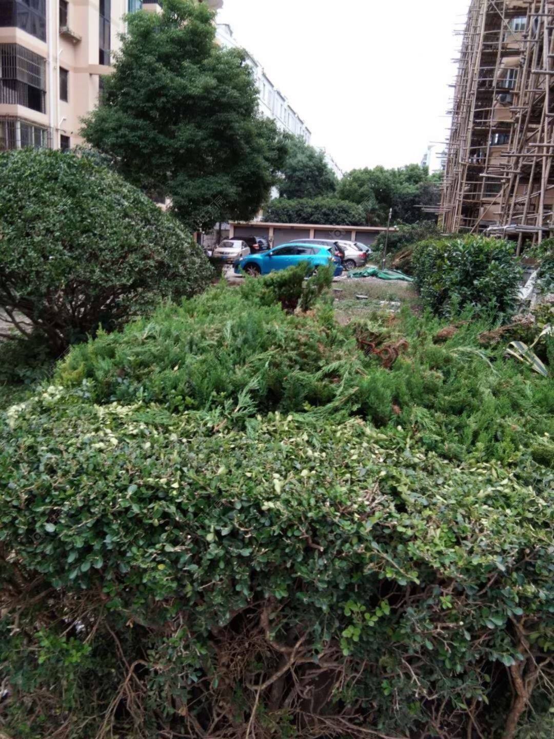 上海富丽公寓西区小区_富丽公寓西区小区null