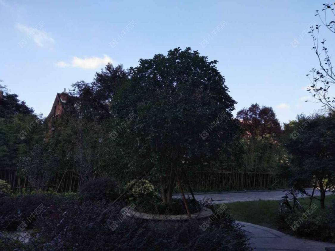 上海南京西路公馆小区_南京西路公馆小区null