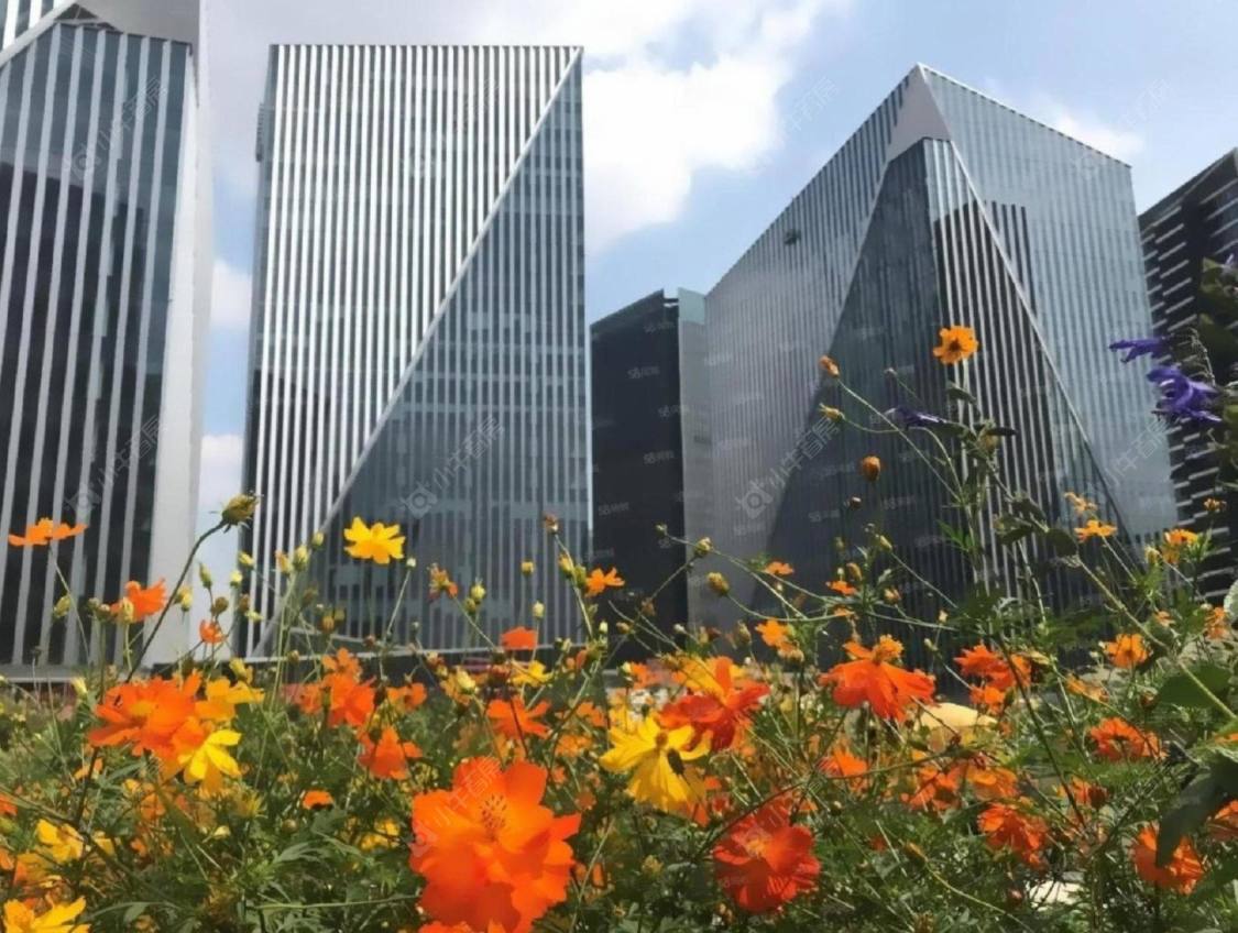 上海晶耀名邸三期小区_晶耀名邸三期小区null