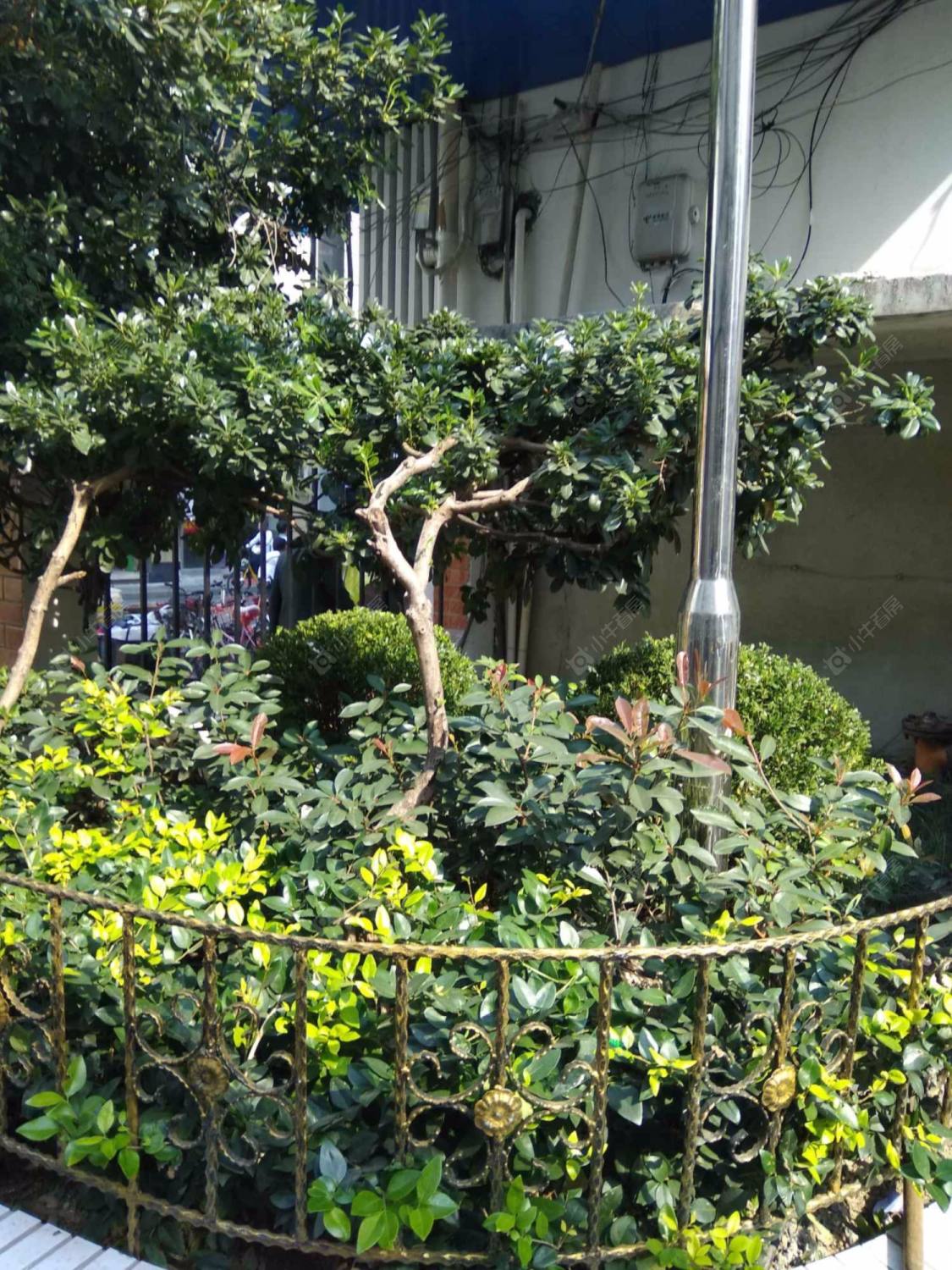 上海宁新小区小区_宁新小区小区null