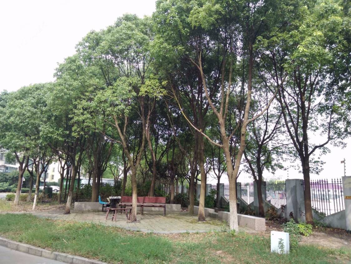 上海思凡馨苑东区小区_思凡馨苑东区小区null