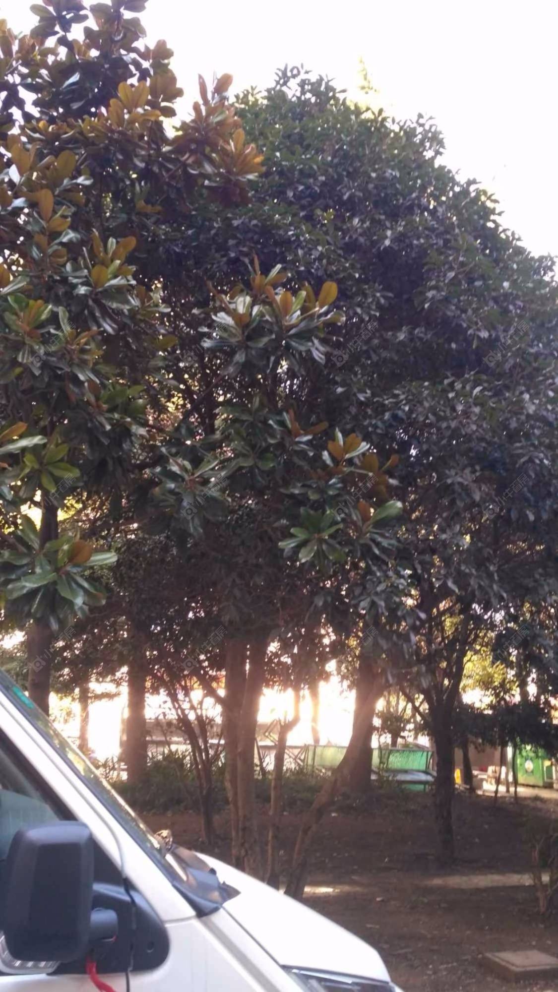 上海宝南新村南区小区_宝南新村南区小区null