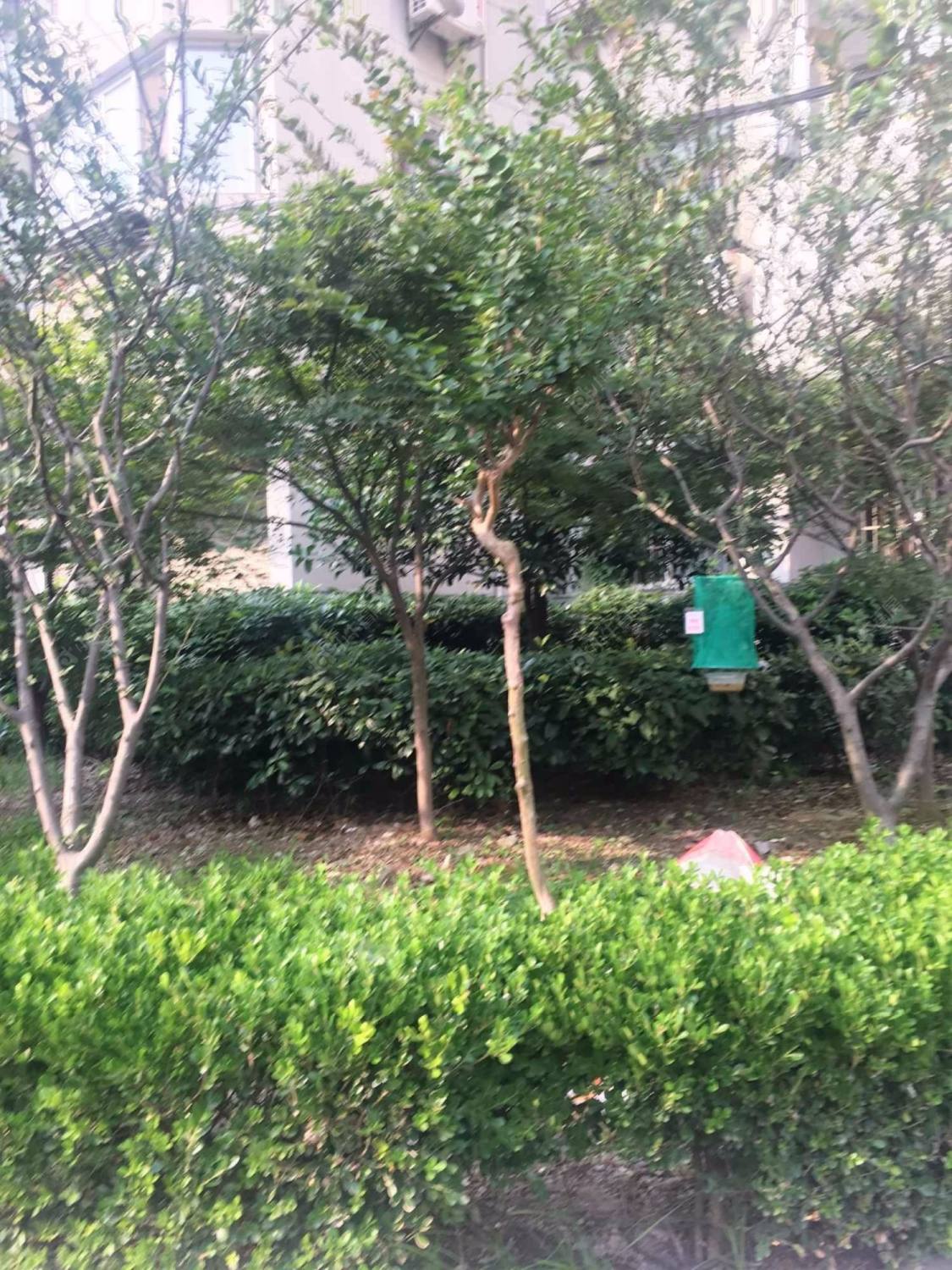 宝林一村封面图_小牛看房