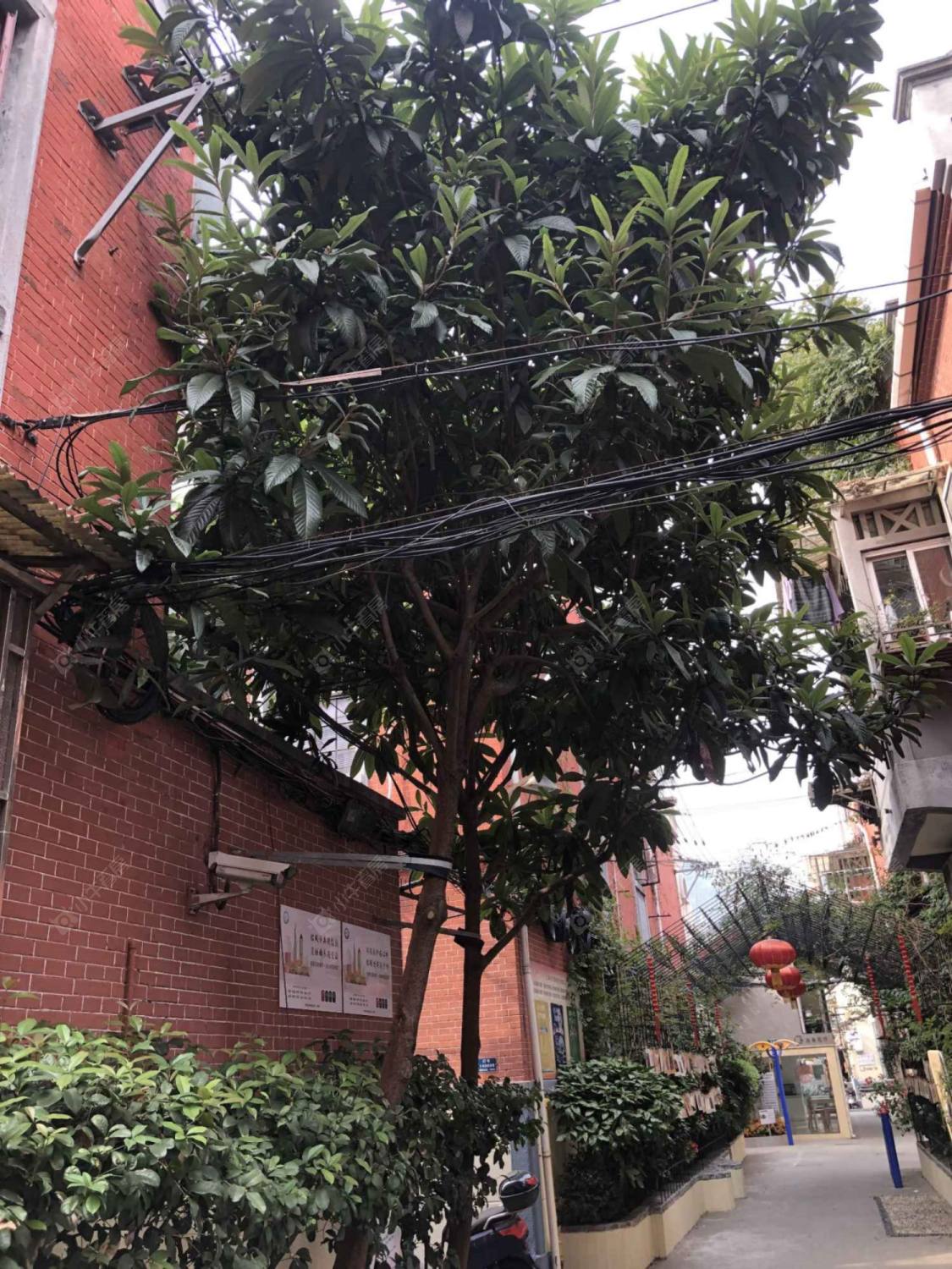 上海宏兴里小区_宏兴里小区实景图