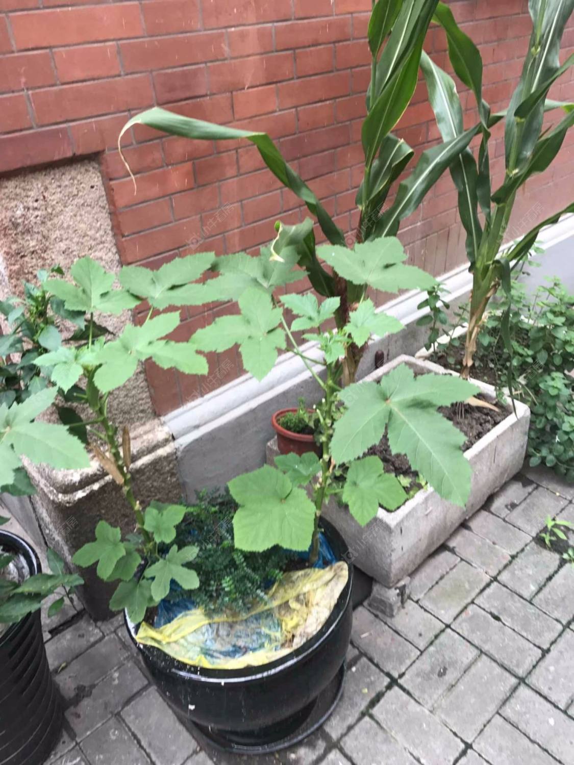 上海康宁邨小区_康宁邨小区null