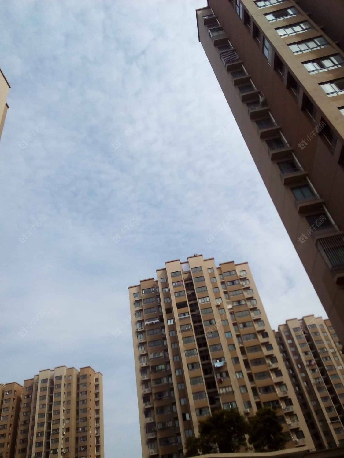 上海民乐城惠康苑北苑小区_民乐城惠康苑北苑小区null