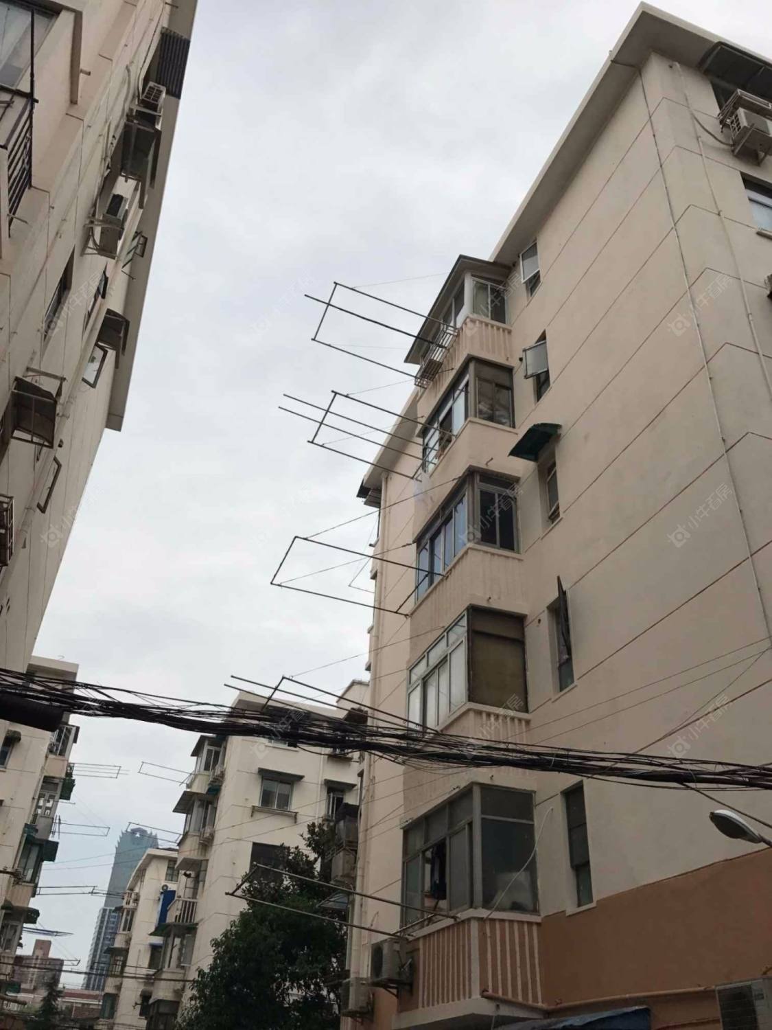 上海三乐小区小区_三乐小区小区null