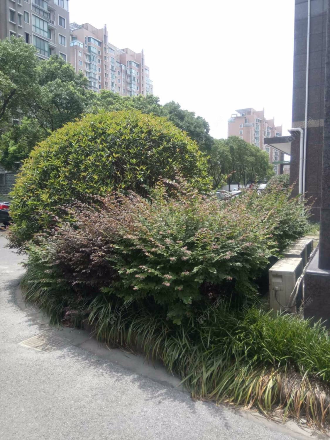 上海锦华大厦小区_锦华大厦小区null