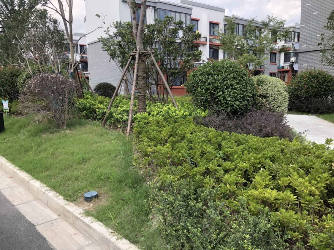 上海智华苑小区_智华苑小区null