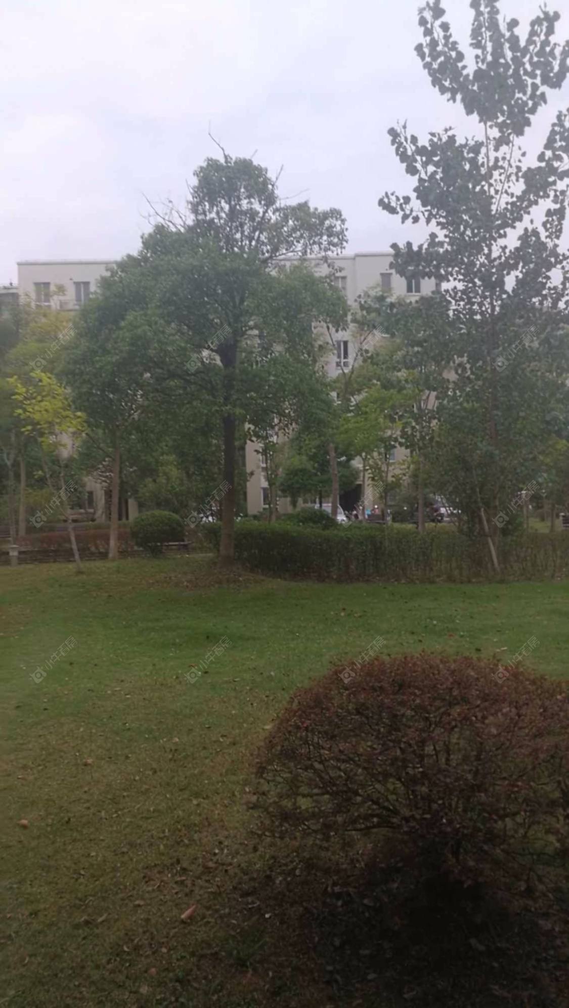 上海金硕河畔景园西区小区_金硕河畔景园西区小区null