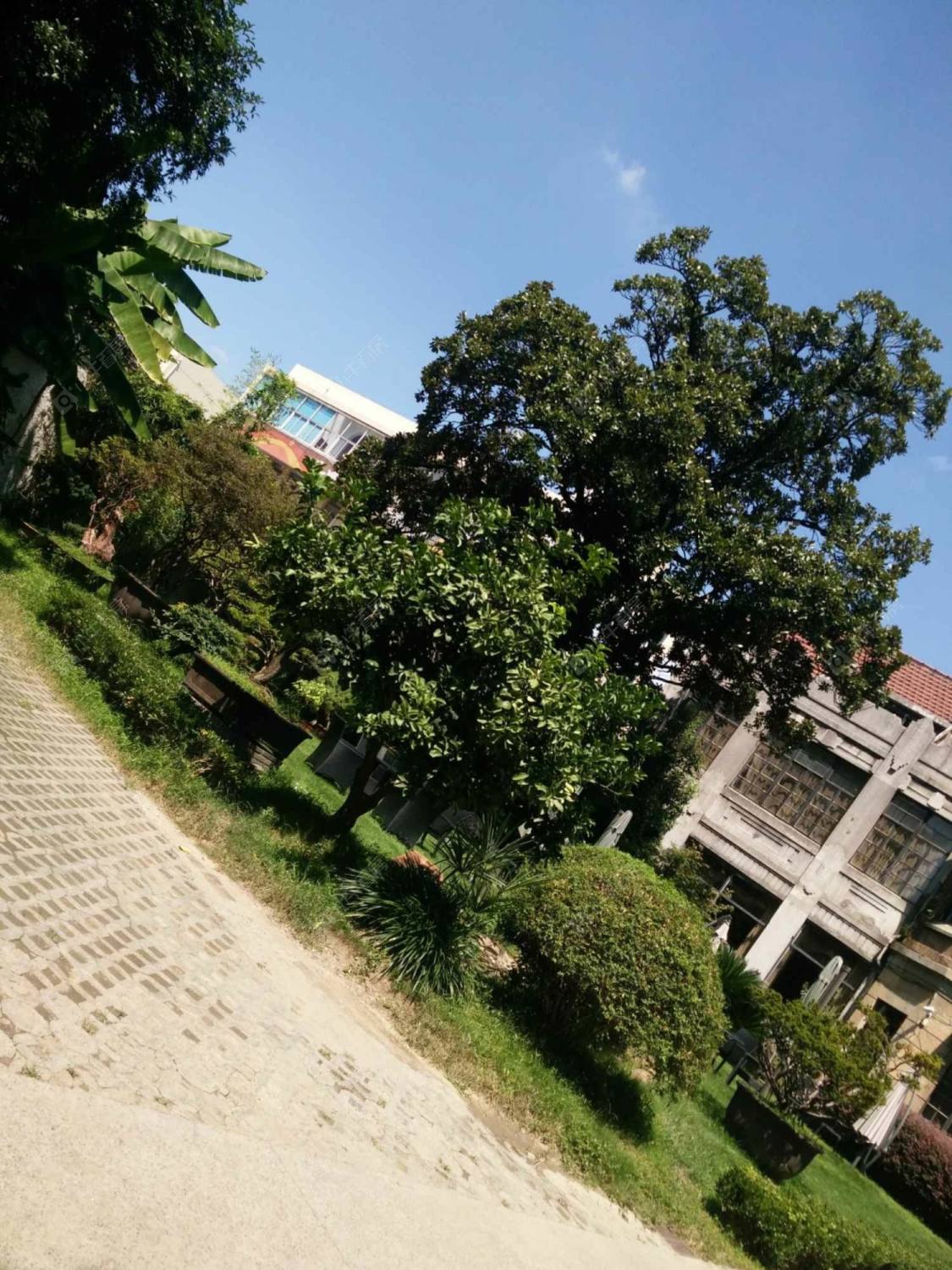 上海襄阳南路388弄小区_襄阳南路388弄小区null