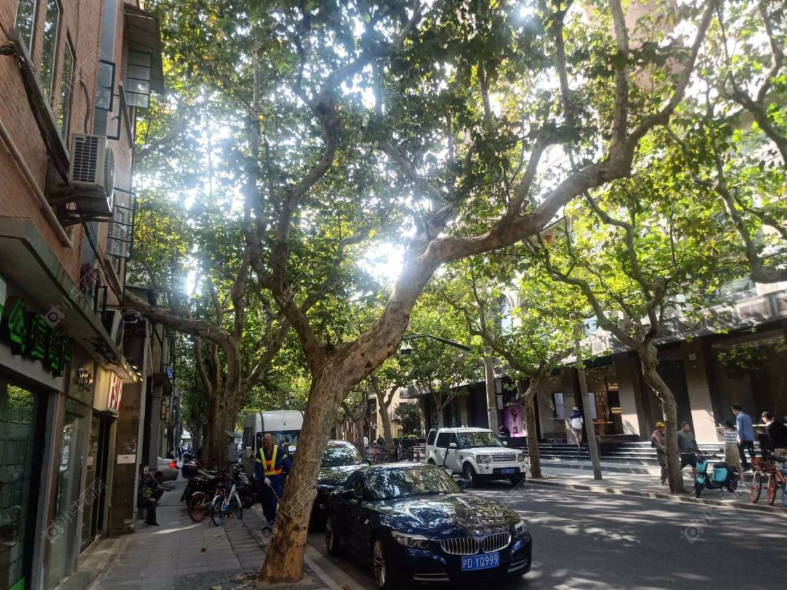 上海太原路64弄小区_太原路64弄小区null