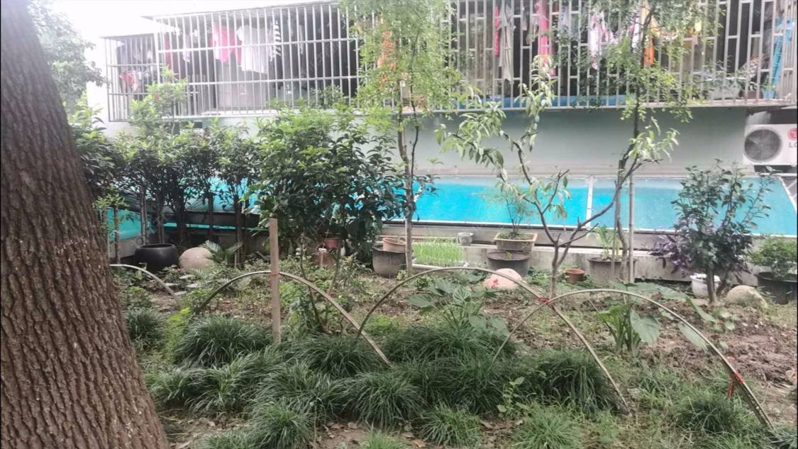 上海绿园六村小区_绿园六村小区null