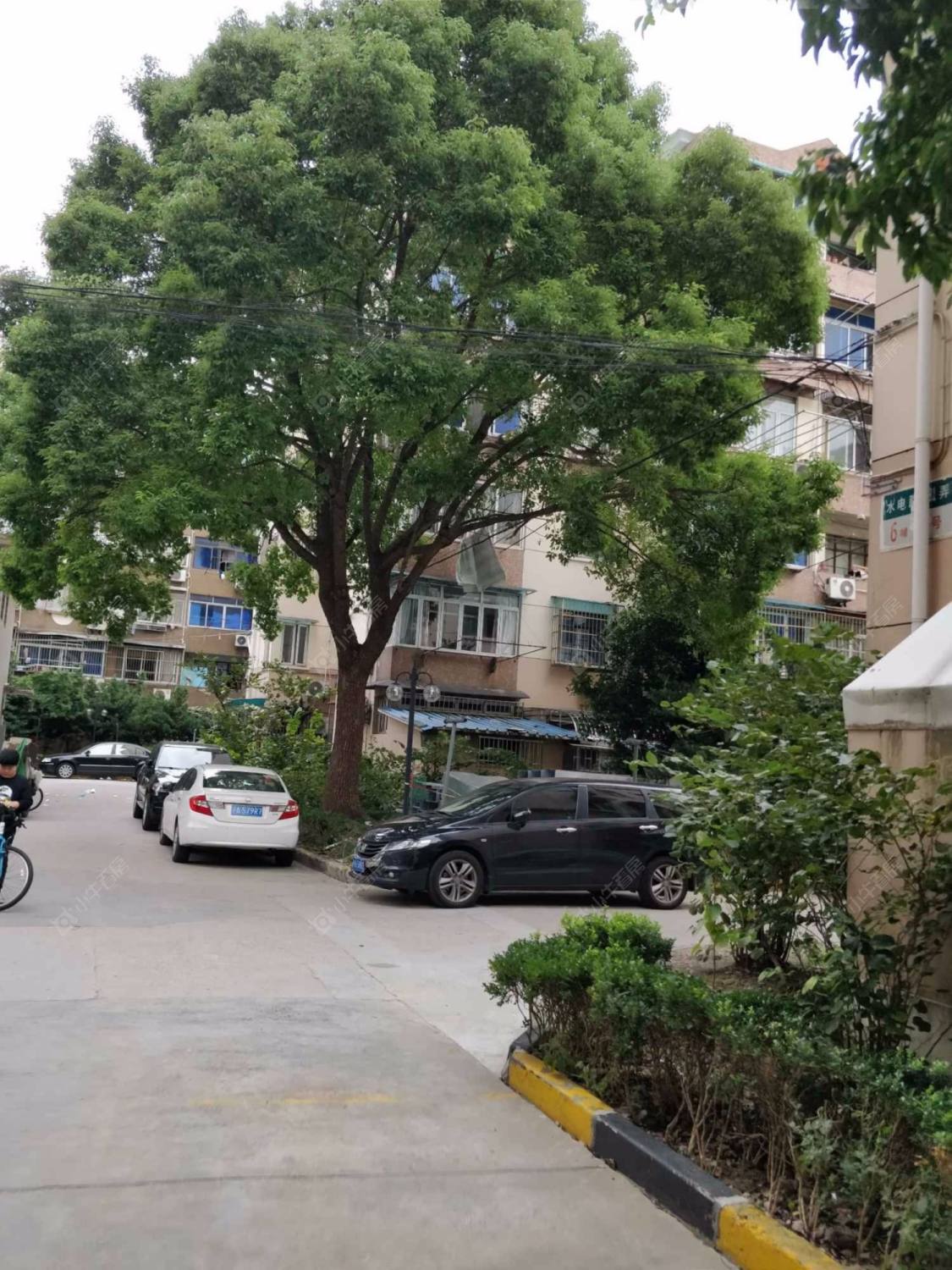 上海水电路1381弄小区_水电路1381弄小区null