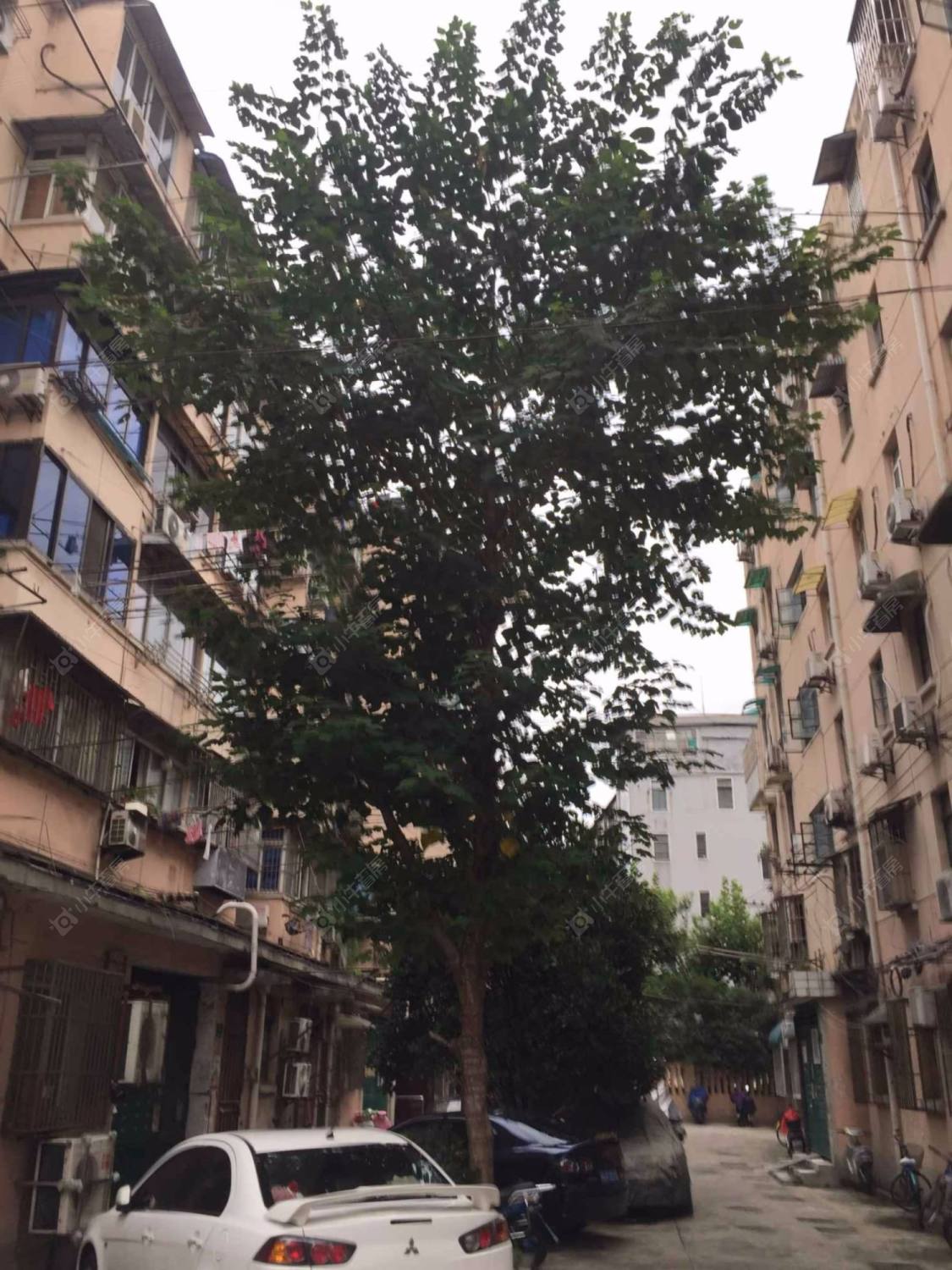 上海止园路400弄小区_止园路400弄小区null