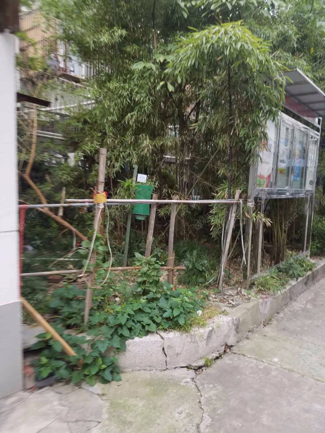 上海韶嘉路51弄小区_韶嘉路51弄小区null