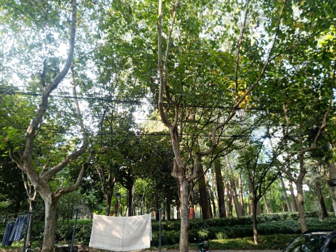 上海黄浦福寿里小区_黄浦福寿里小区null