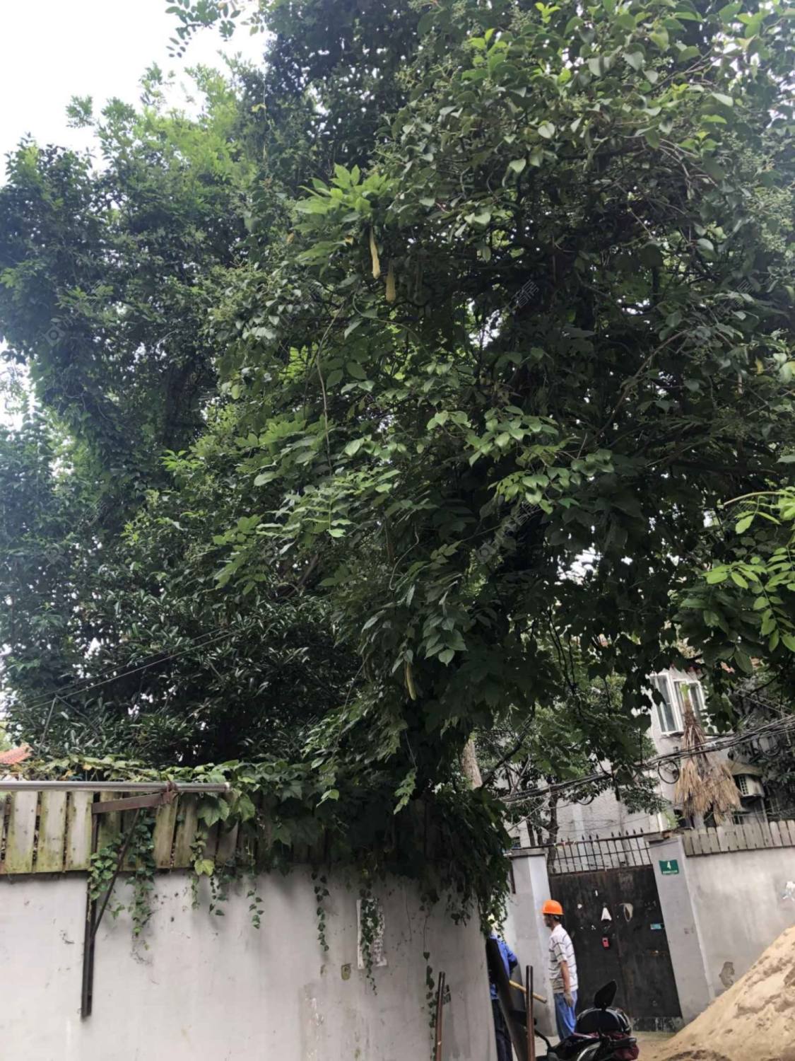 上海建国西路365弄小区_建国西路365弄小区null