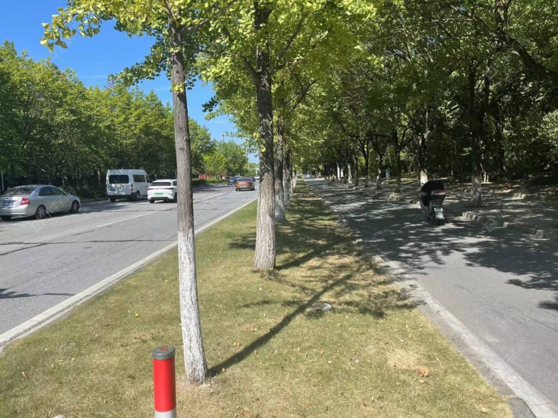 上海元吉小区北区小区_元吉小区北区小区null