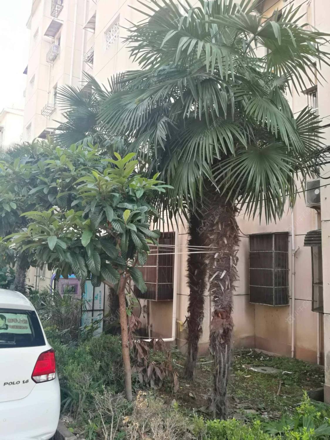 上海锦南浦三小区小区_锦南浦三小区小区null