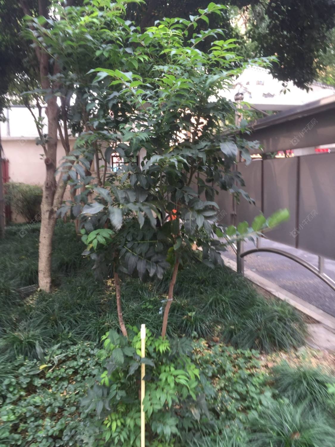 上海莘沥路188弄小区_莘沥路188弄小区null