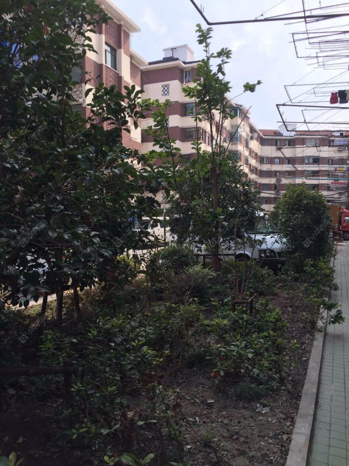 上海芷江中路493弄小区_小牛看房