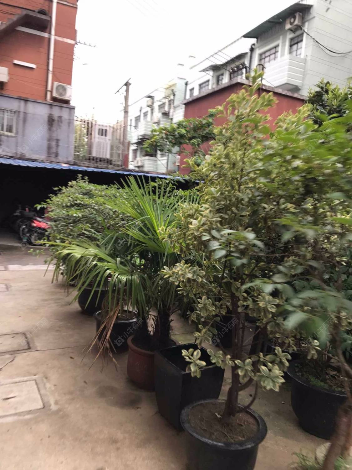 上海昌化路453弄小区_昌化路453弄小区null