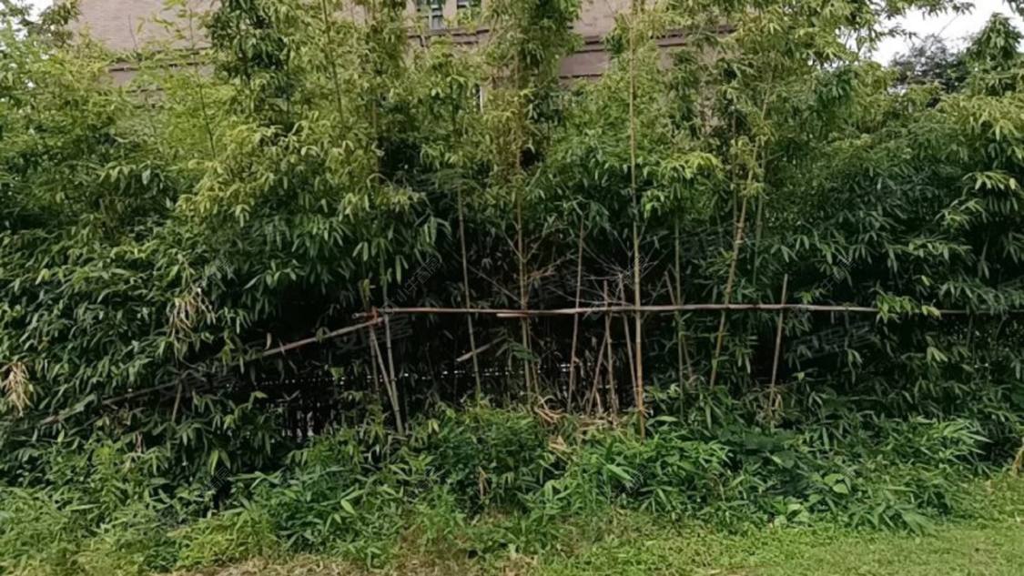 上海香逸湾南区别墅区小区_香逸湾南区别墅区小区null