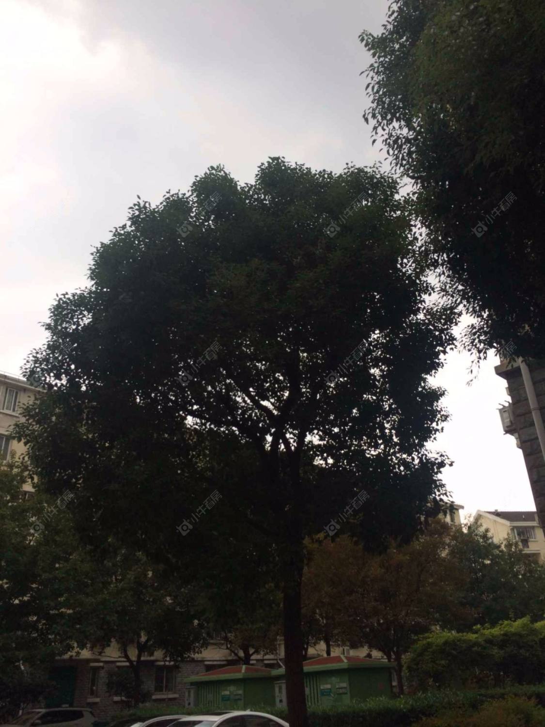 上海正旺苑小区_正旺苑小区null