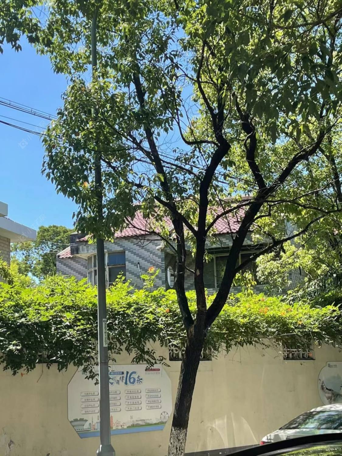 上海花园别墅小区_花园别墅小区实景图