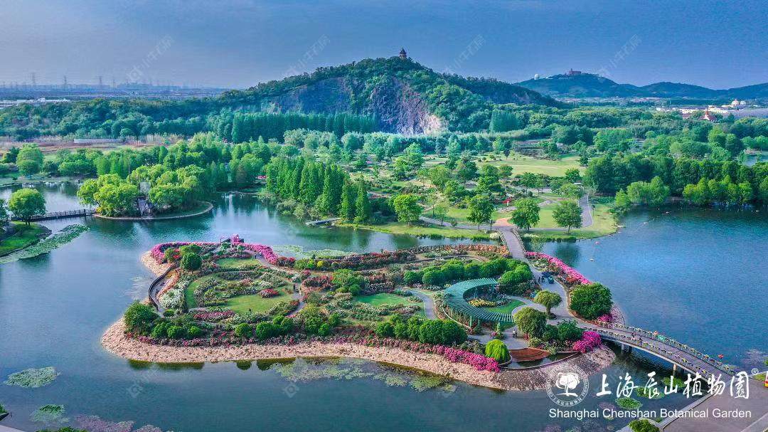 上海招商时代潮派小区_招商时代潮派小区null