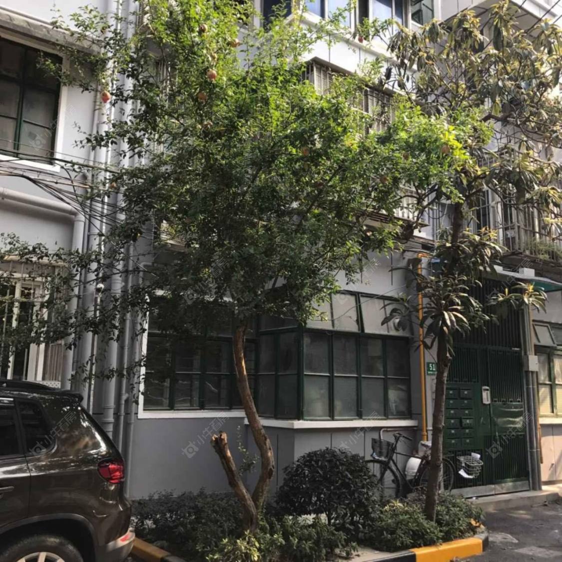 上海八一小区小区_八一小区小区null