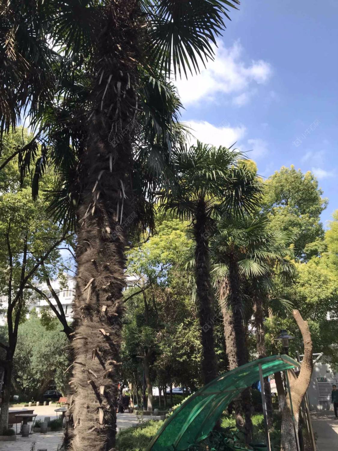 上海德州七村380弄小区_德州七村380弄小区null