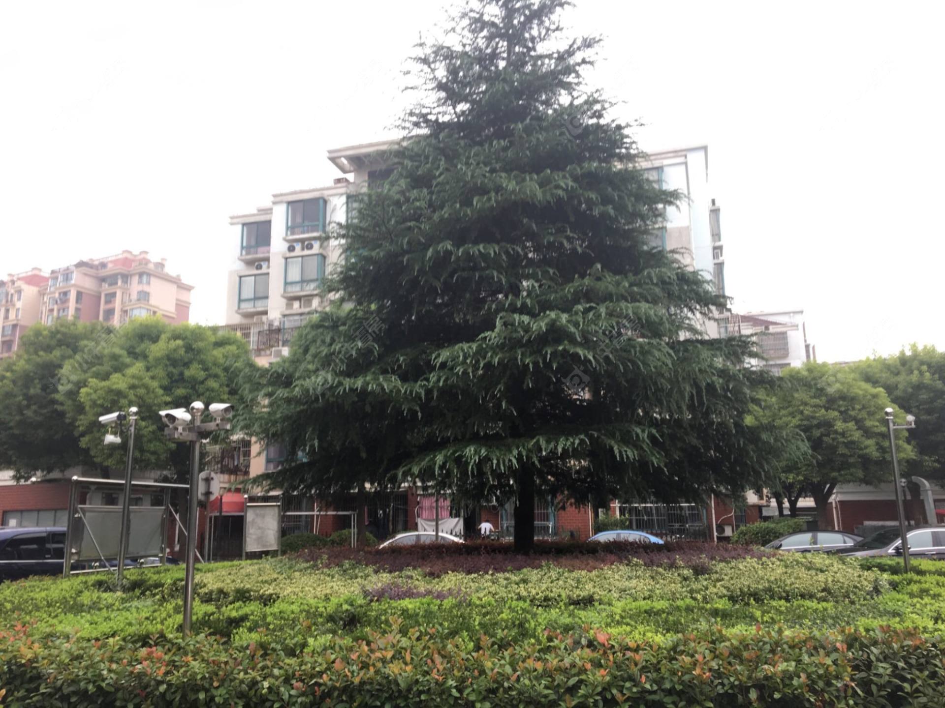 上海鑫唐佳苑小区_鑫唐佳苑小区undefined