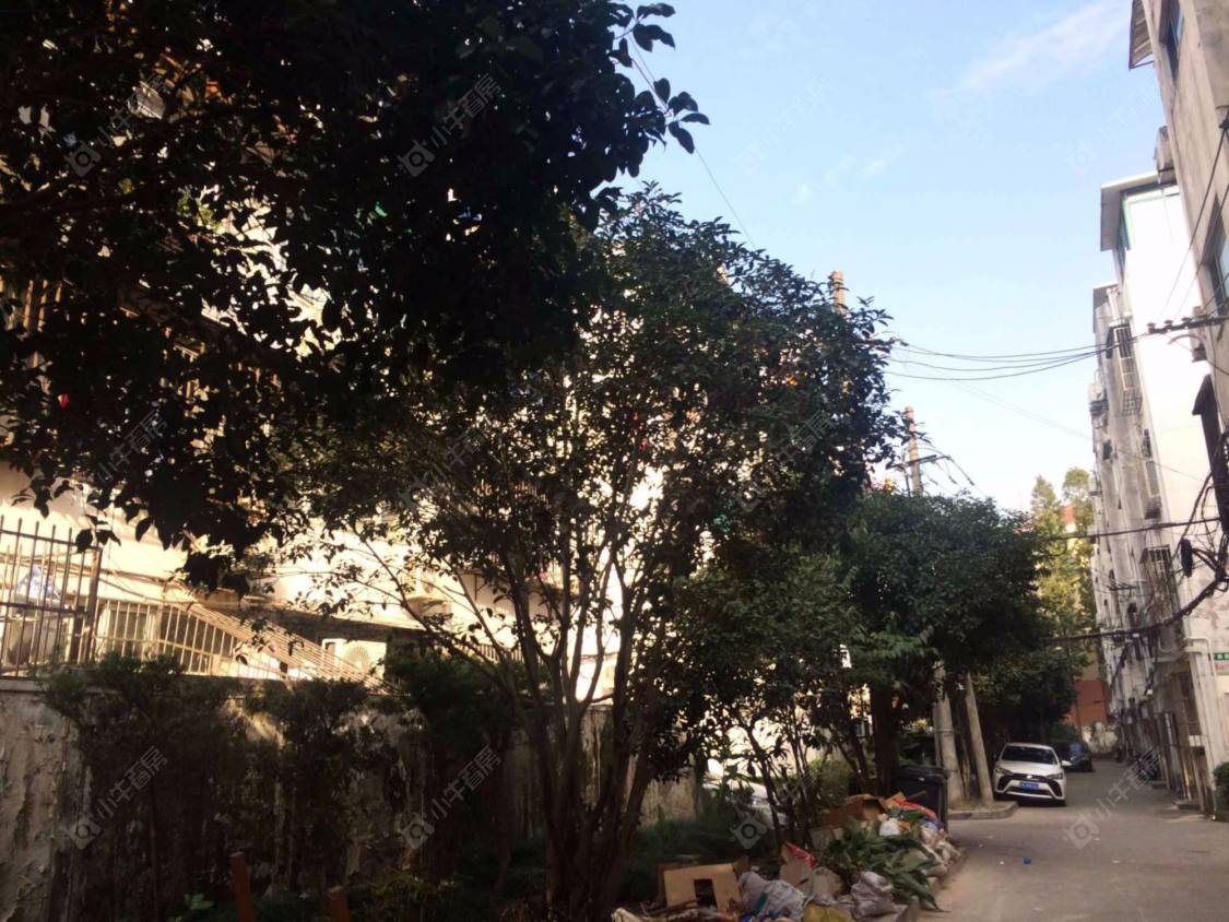 上海昌鑫小区小区_昌鑫小区小区null