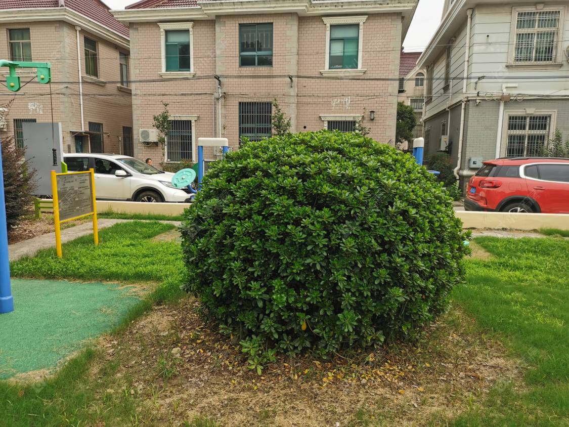 上海徐谢小区小区_徐谢小区小区null