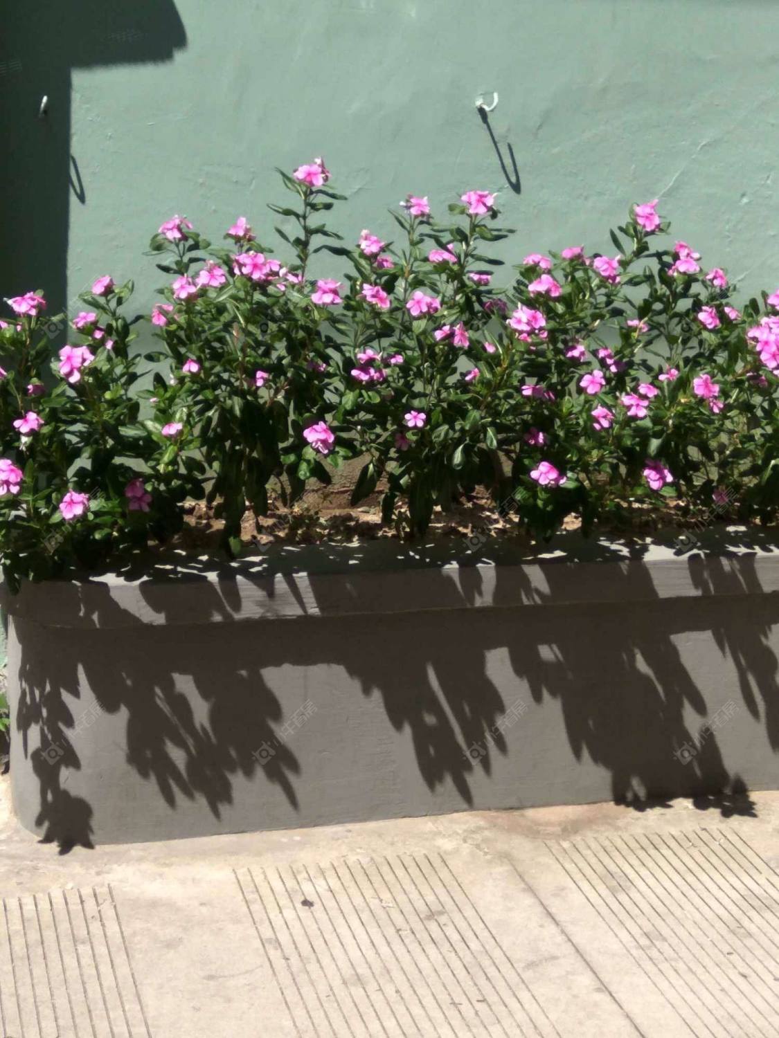 上海复兴中路1295弄小区_复兴中路1295弄小区null