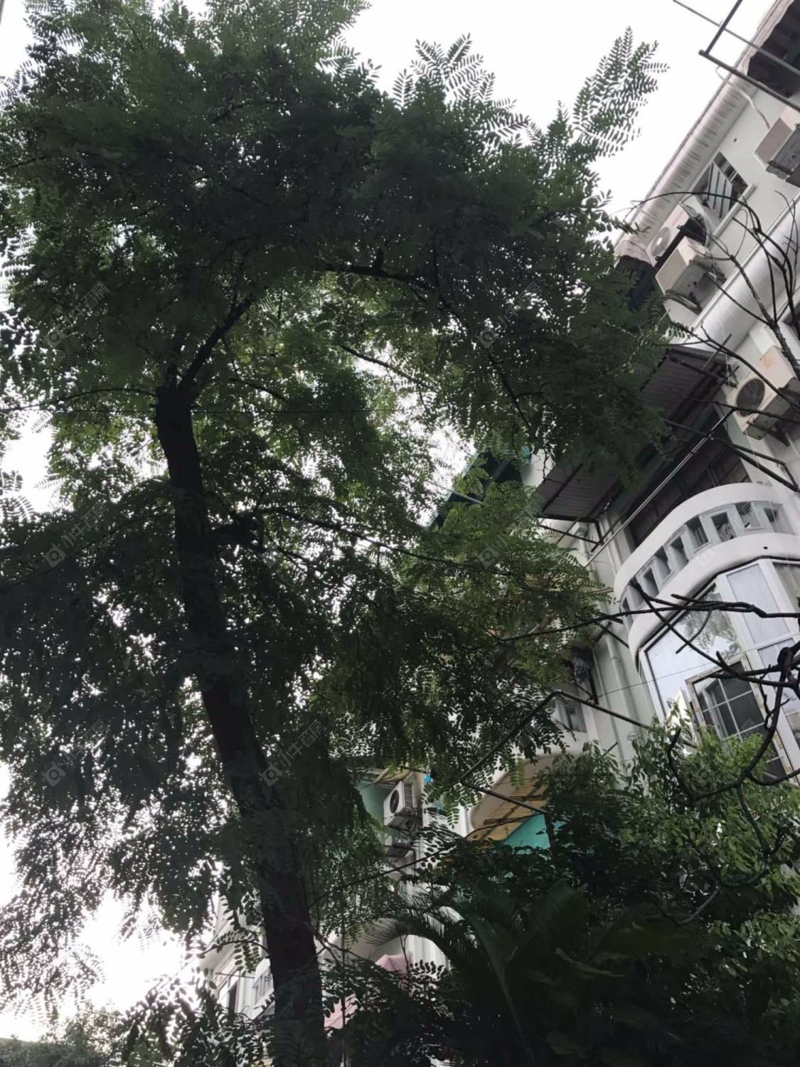 上海陕西北路587弄小区_陕西北路587弄小区实景图