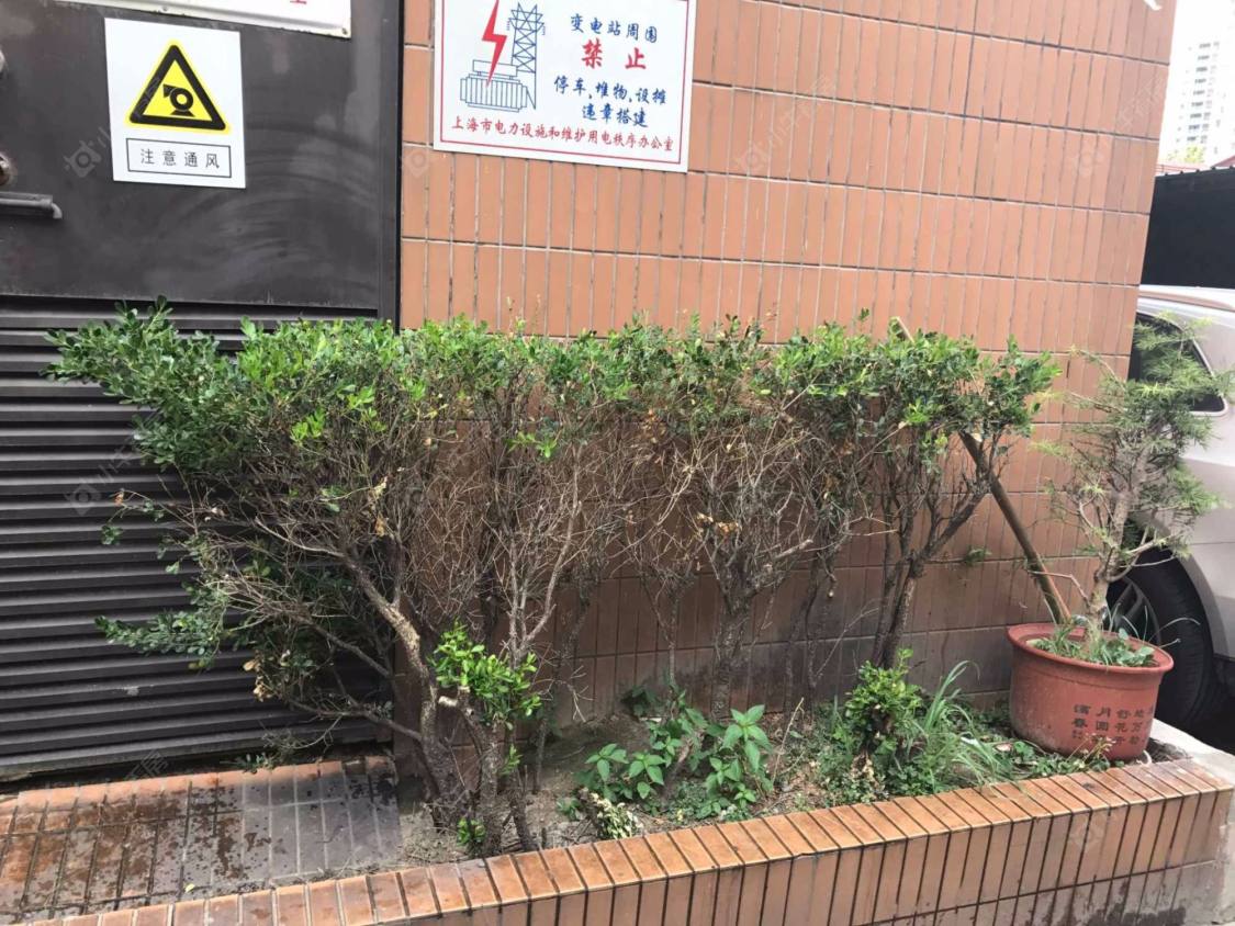 上海金阳大厦小区_金阳大厦小区null