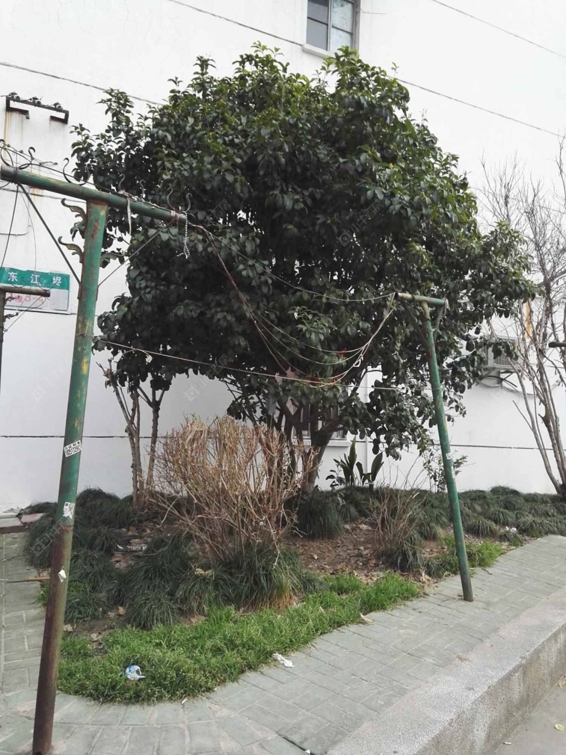 东江海封面图_小牛看房