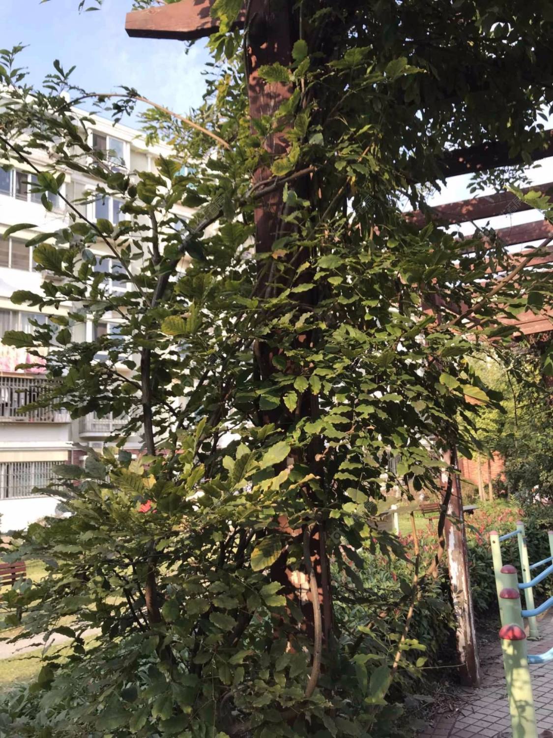 上海鹏宏苑小区_鹏宏苑小区null