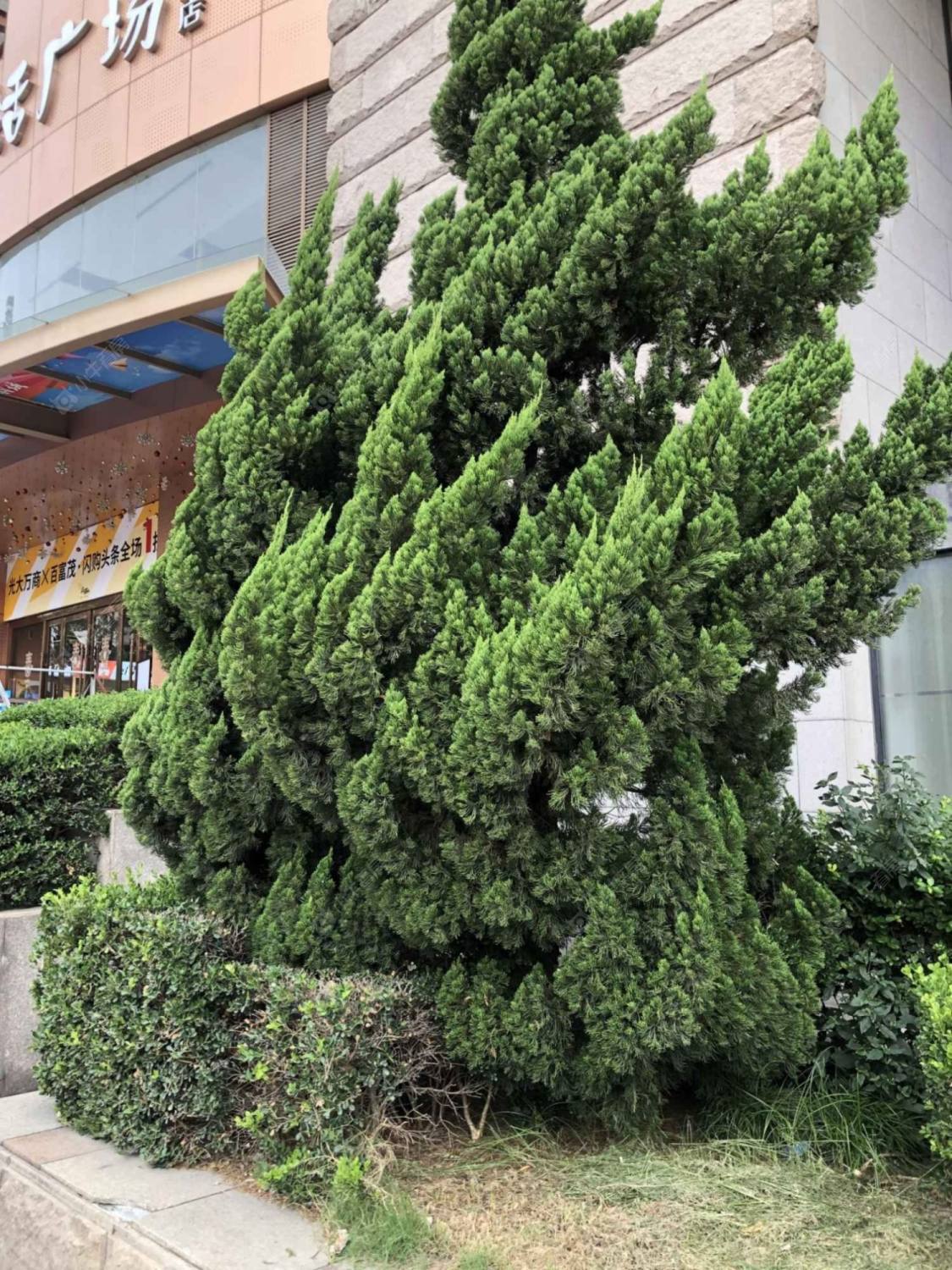 上海光大会展中心F座小区_光大会展中心F座小区null