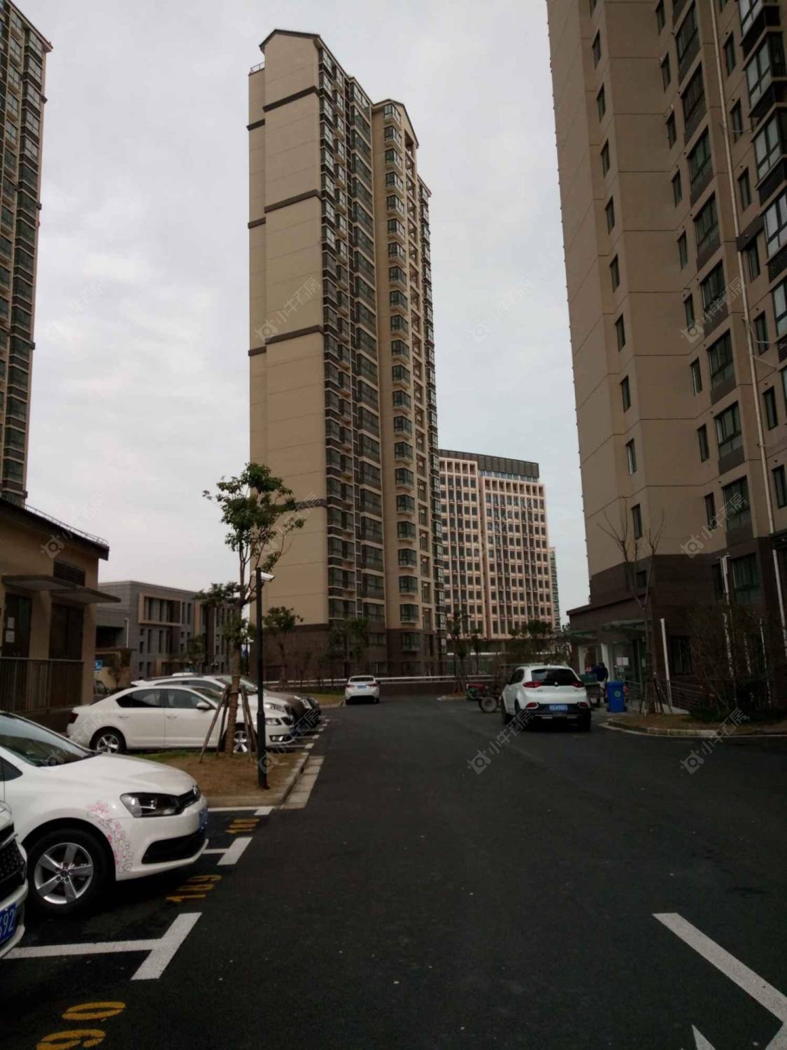 高潮新苑封面图_小牛看房